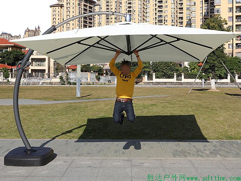 sdtthw遮阳伞.jpg